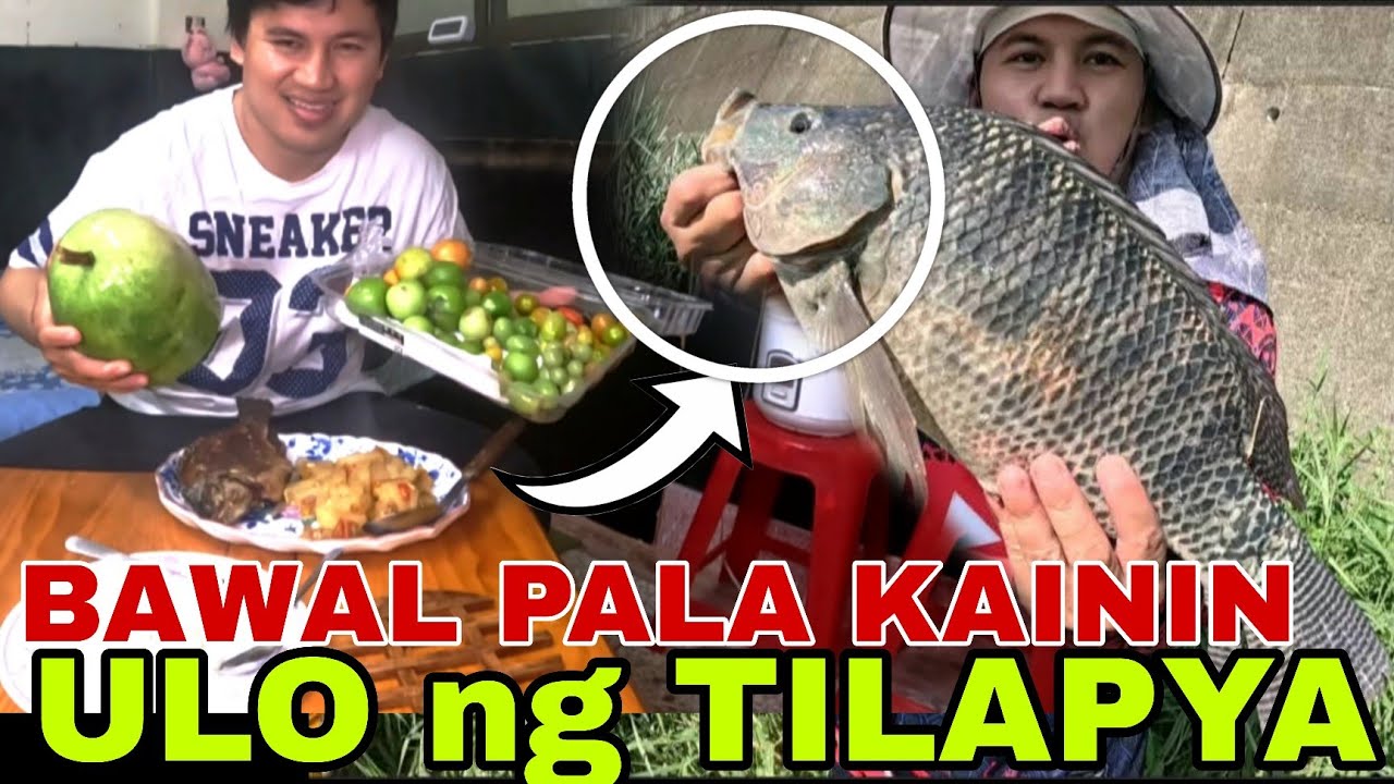 Bawal pala kainin ang ulo ng tilapya + BINALIKAN NAMIN ANG SPOT NG LIBO LIBONG ISDA