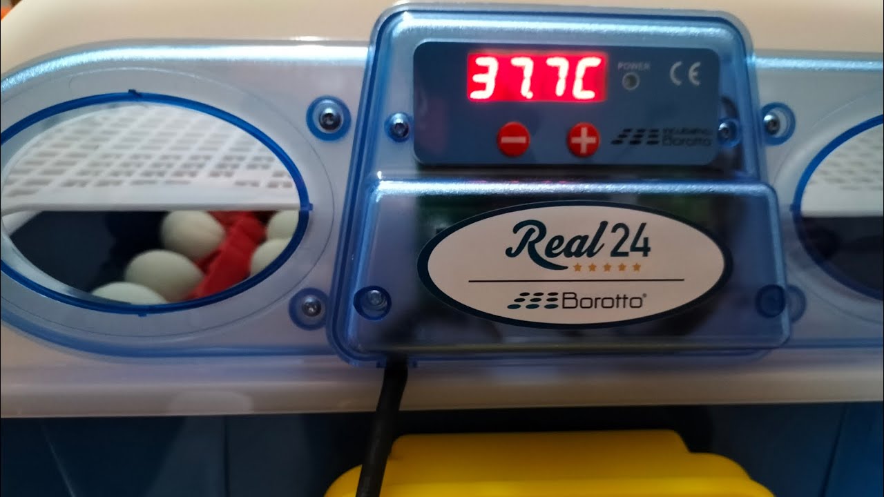 Incubatrice Real 24 Borotto
