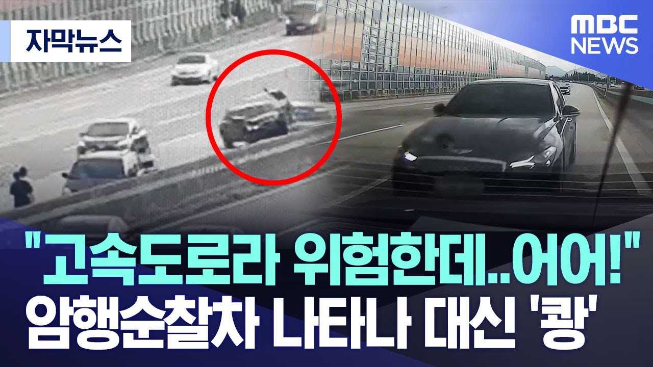 [자막뉴스] 