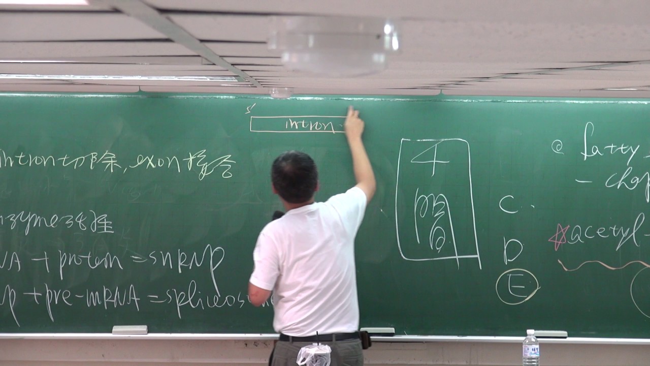 106沈浩生物解析