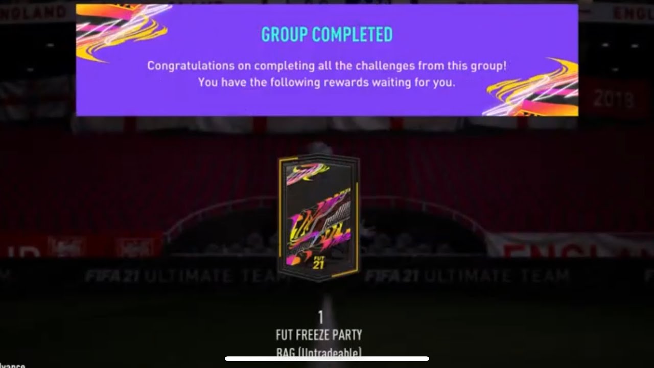 FUT Freeze Party Bag