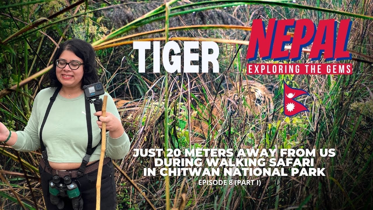 🇳🇵Nepal | Tiger Encounter in Walking Safari | Rhino | Chitwan National Park | Barahi Jungle Lodge