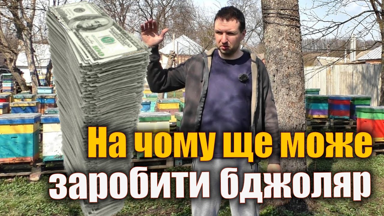 Мед оптом. Які ще є варіанти заробітку для бджоляра?