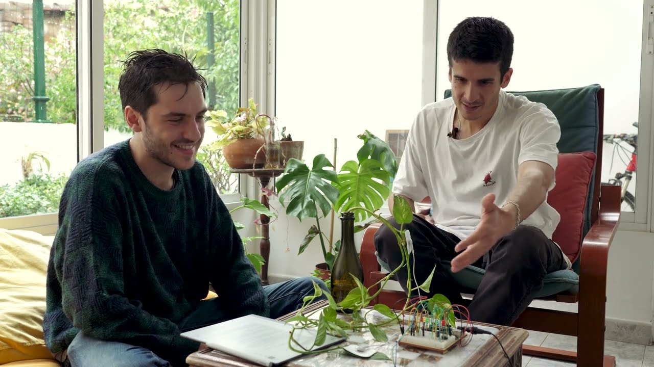 Audio-Visual Plant Installations - Full Interview with when.plants.sing & Barrioslatinos