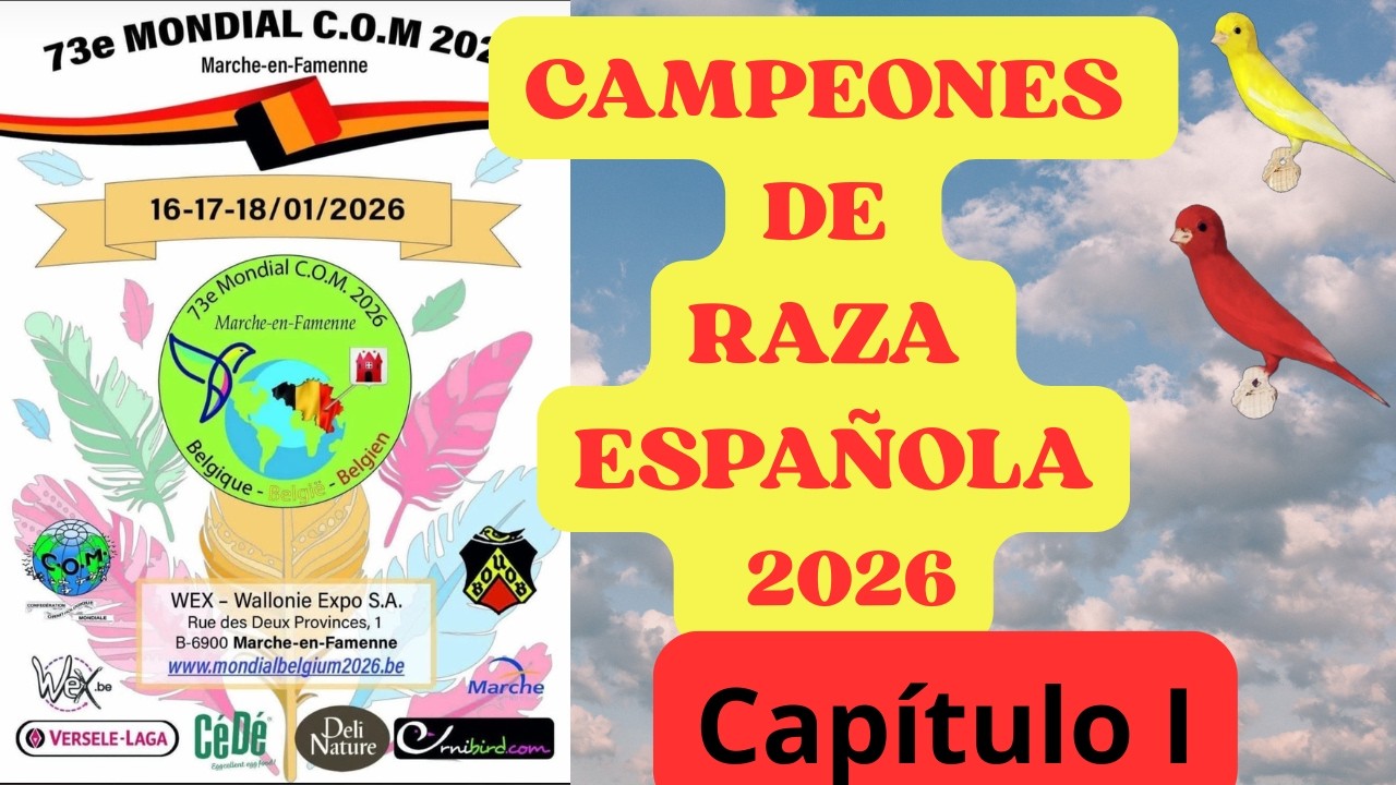 RAZA ESPAÑOLA  CAMPEONES DEL MUNDO CHAPTER 1