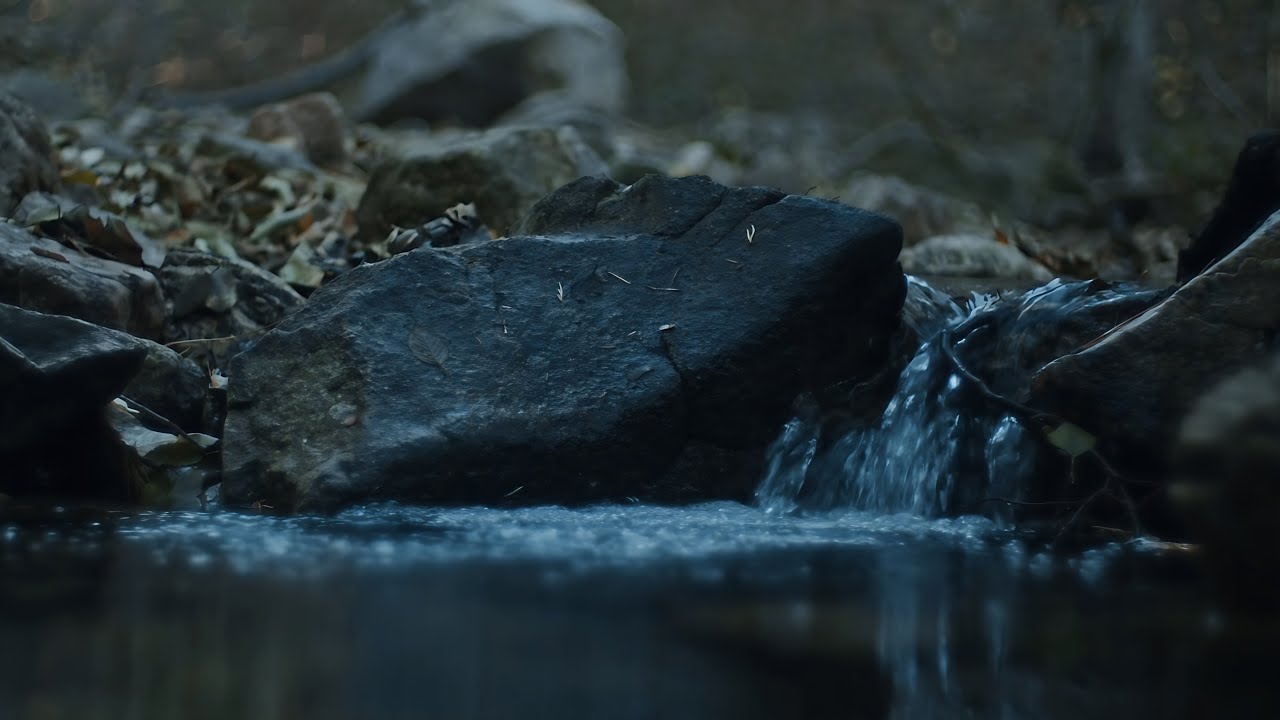 The sound of flowing water in the heart of nature – a tranquil river scene for relaxation and contem