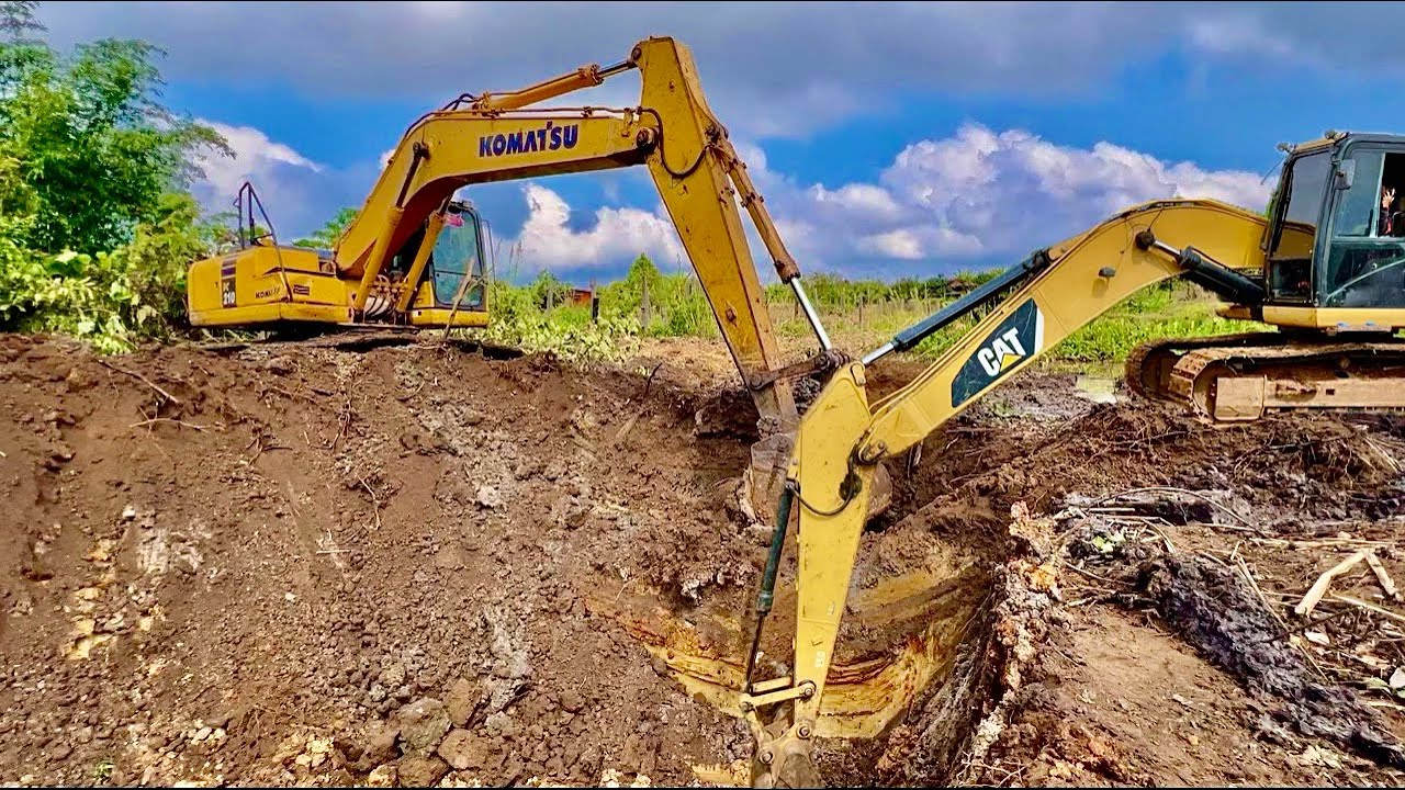 Excavator clears the land for the entrance to the house and makes a road to the farm.