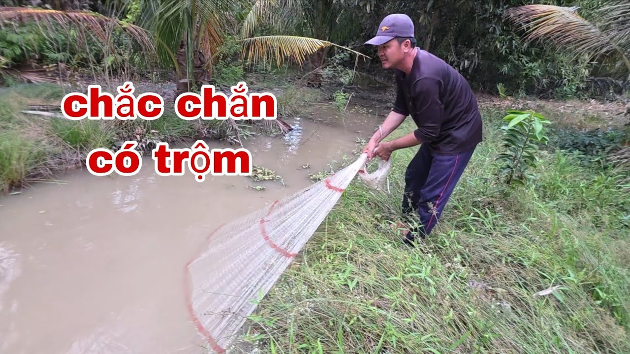 Nghi Ngờ Có Trộm Vào Bắt Cá Vội Lấy Chài Ra Thử Xem Sao | TTVlog 