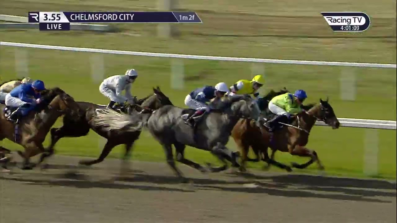 Trawlerman gets the job done in the Betsi Handicap!