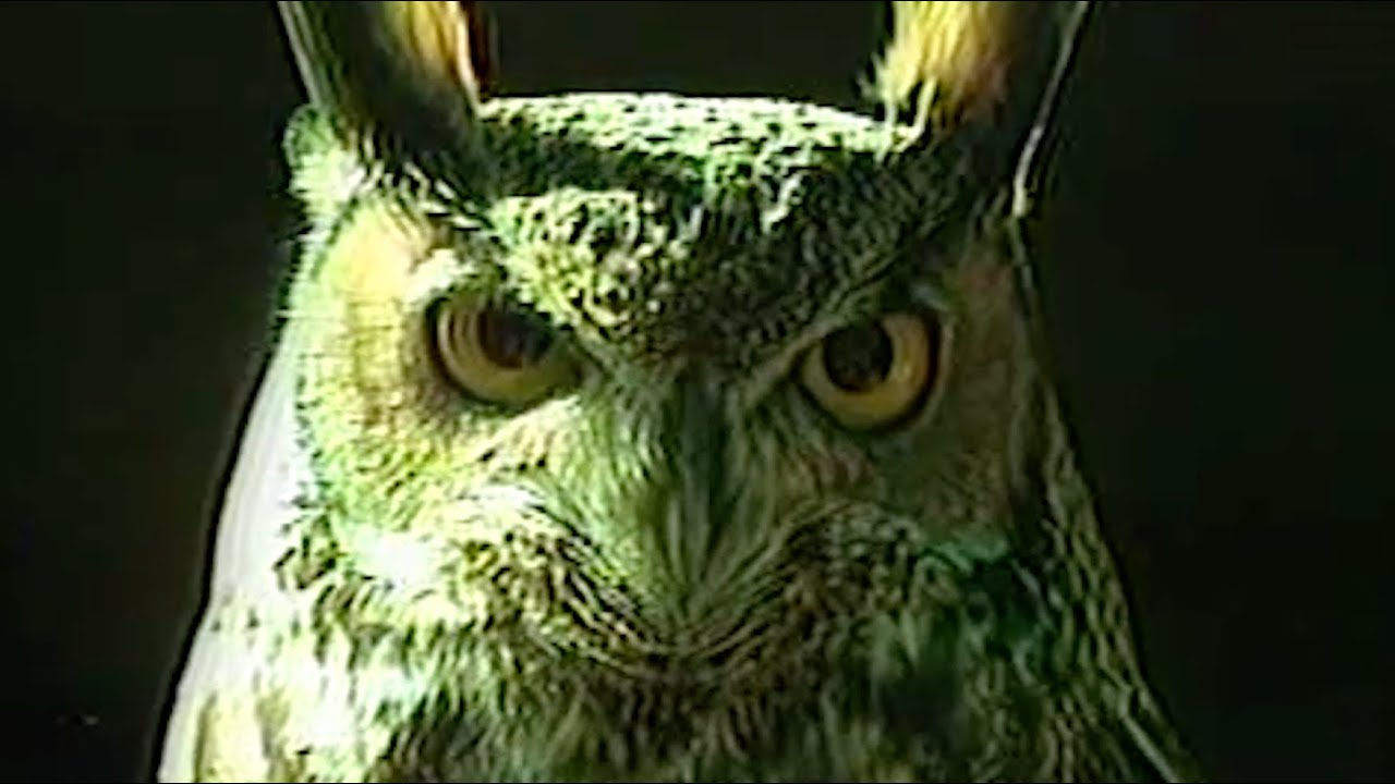 2. Micelio - Tanto (Visualizer)