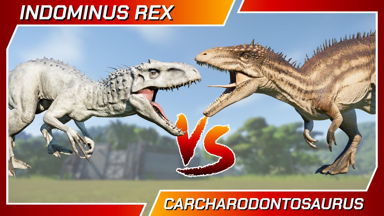Dinosaurs Battle INDOMINUS REX Vs CARCHARODONTOSAURUS - Jurassic World Evolution