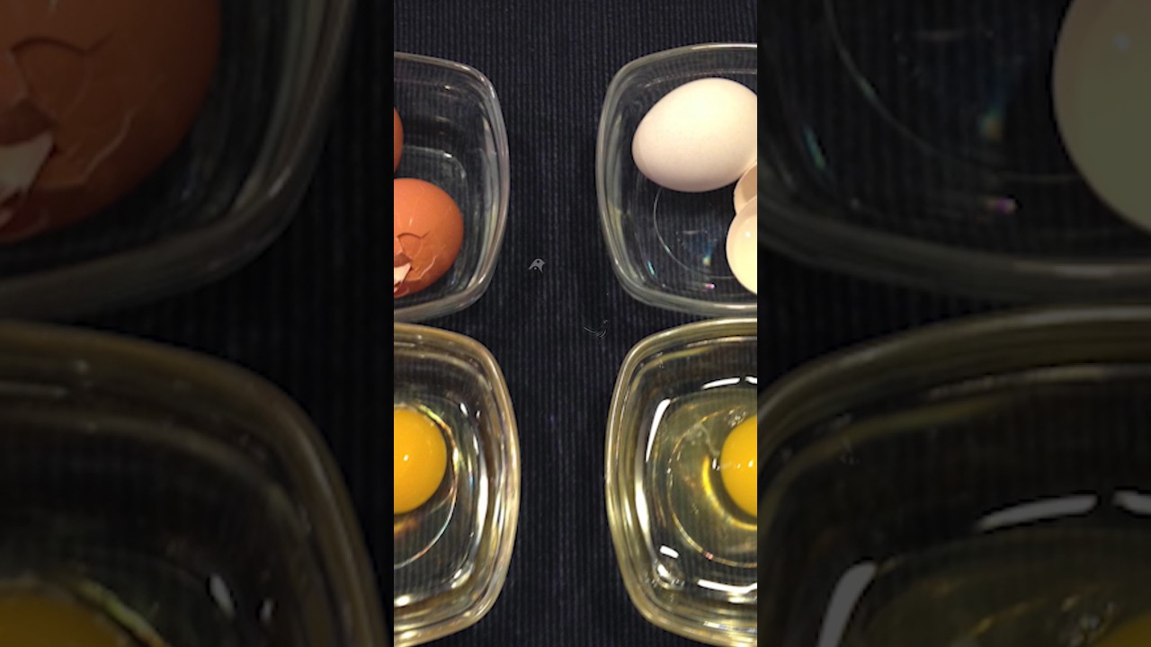 Brown (Desi) vs White Eggs | Which is Good to Eat ? #chicken #eggs #poultry #rooster #hen #desiegg