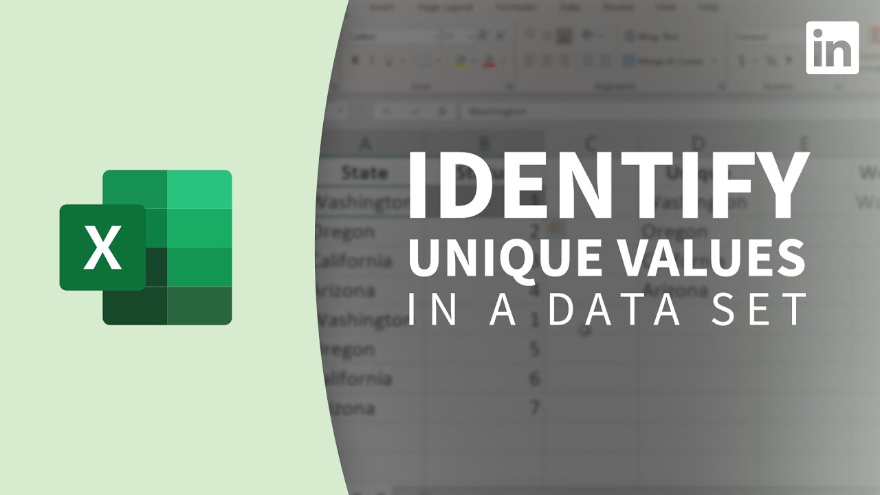 Excel Tutorial - Identify unique values in a data set