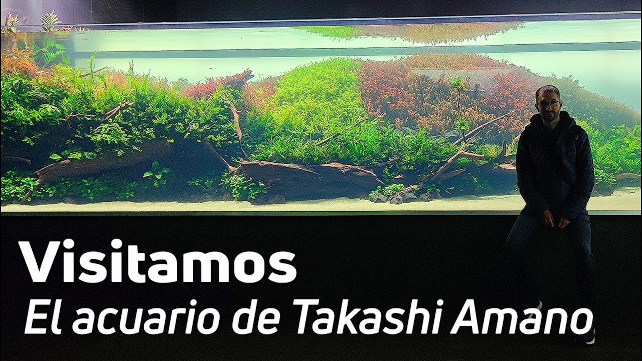 Florestas Submersas de Takashi Amano en el Oceanário de Lisboa