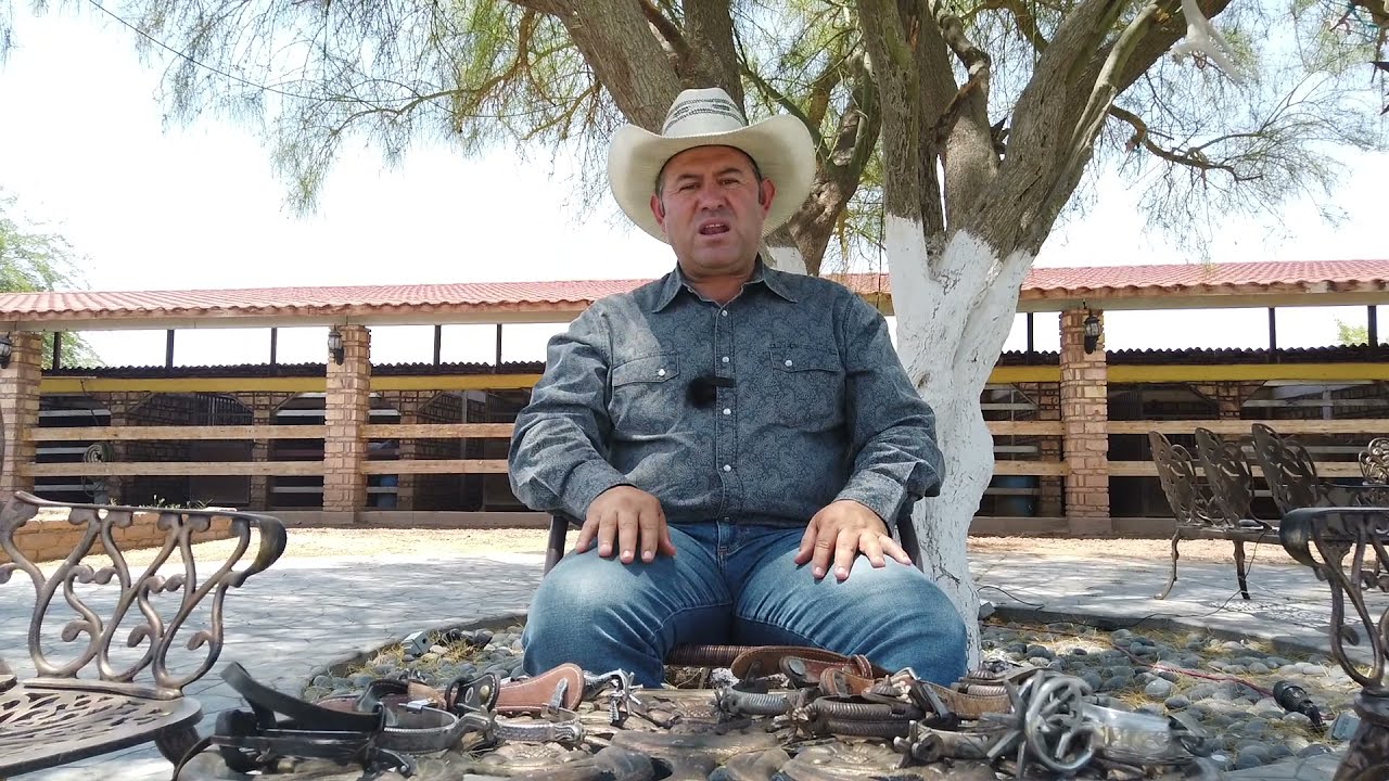 Diferentes Tipos de Espuelas