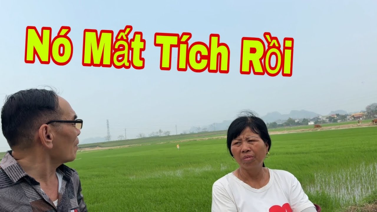 Mụ Liên Cũng Không Tin Được Lâm Lại Mất Tích Như Thế 