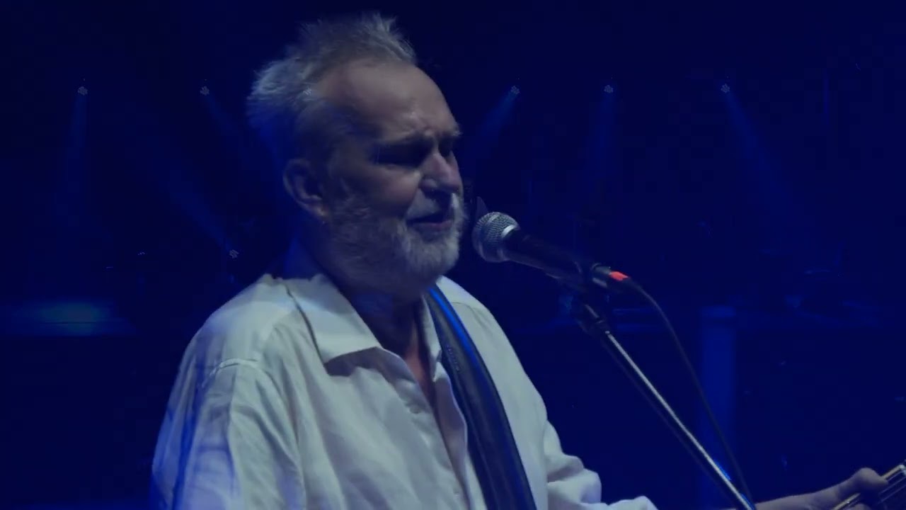 Noche de Perros - En Vivo