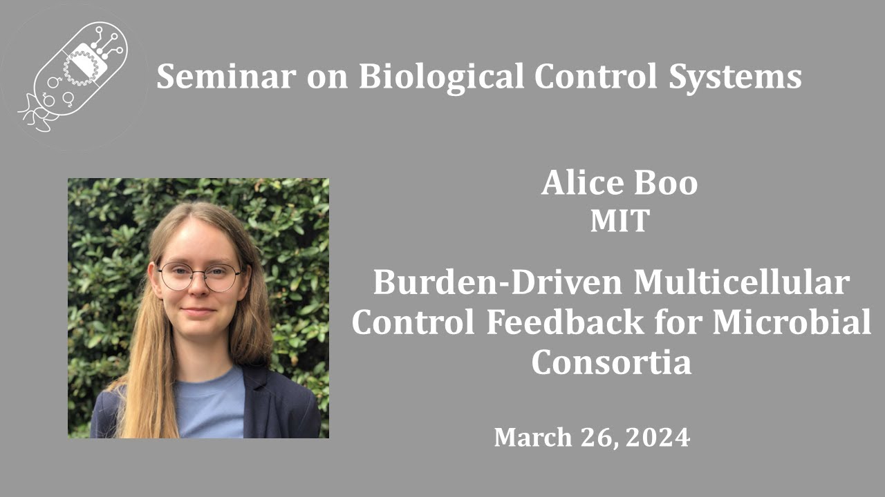 Alice Boo: Burden-Driven Multicellular Control Feedback for Microbial Consortia
