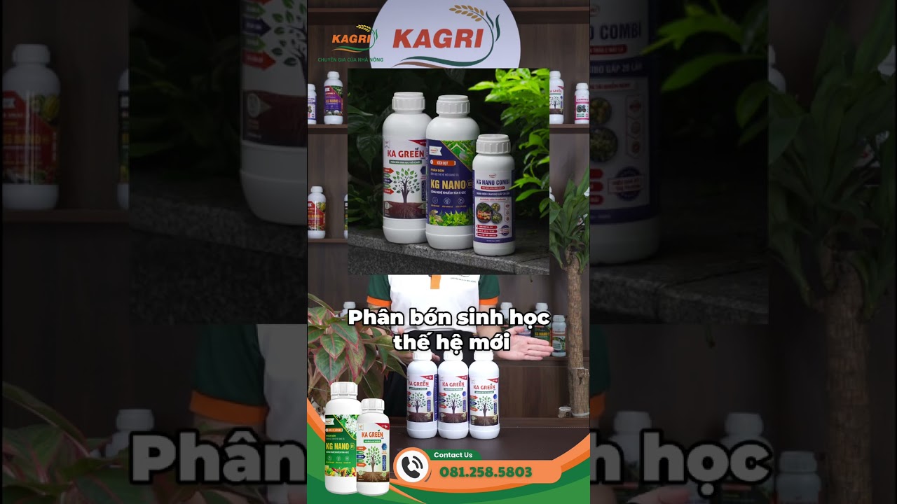 Siêu kích rễ - đi đọt cho cây trồng [ Ka Green - Phân bón sinh học dạng gel ]