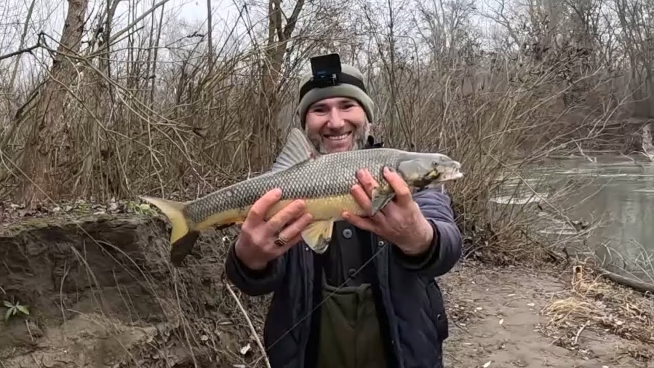 Зимняя рыбалка на усача. река Сунжа.                     Рыбалка в Чечне.