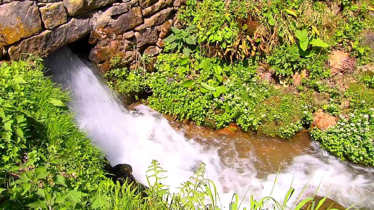 Trabzon/Yomra - Göz Yapım