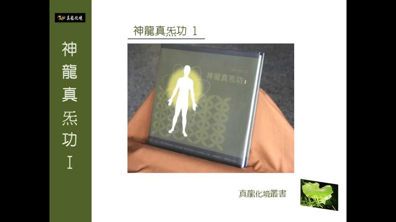 神龍真炁功簡介