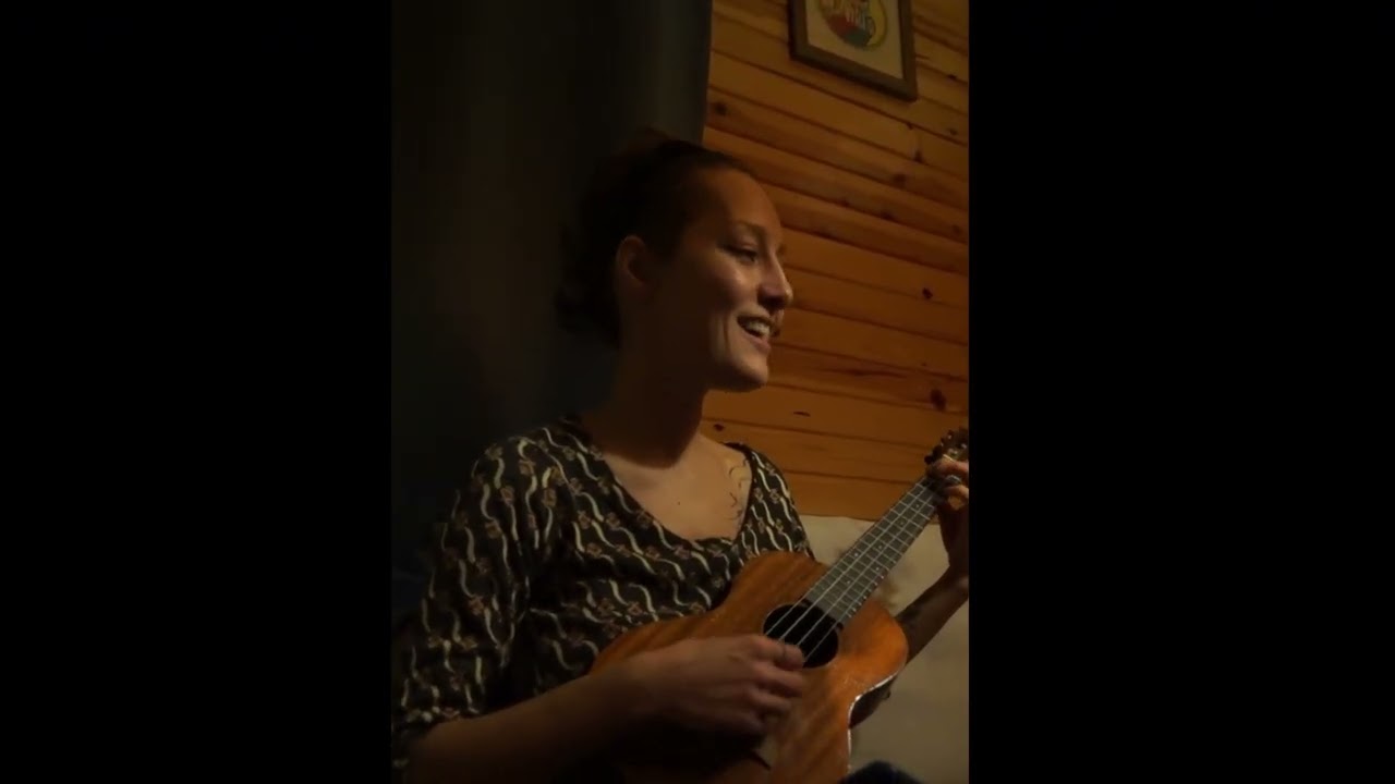 Deliler Yeni Türkü (cover/yorum)