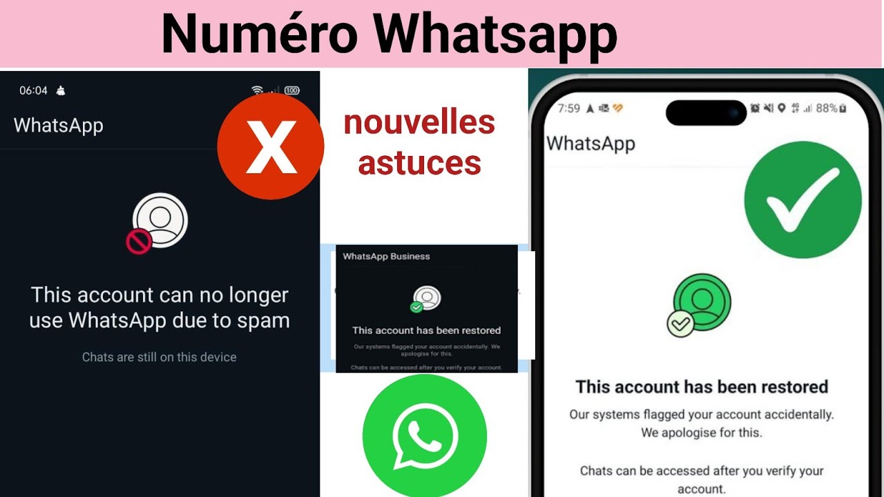 Problème de blocage de compte WhatsApp (Nouvelle solution) | Solution de blocage de compte WhatsApp