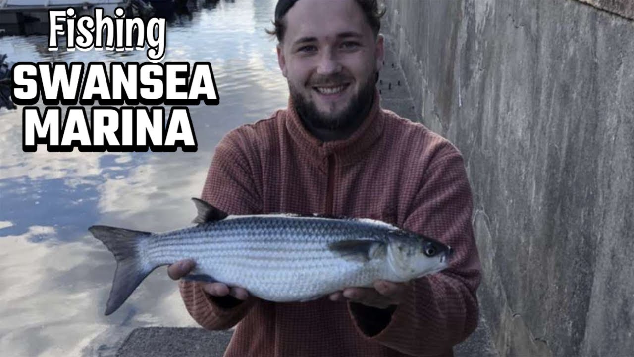 Swansea Marina Fishing - Hog Hunters UK (EP 1)