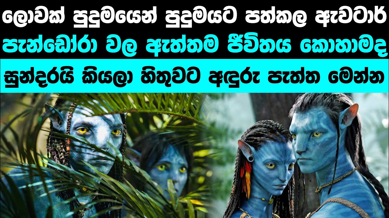 ඇවටාර්හි පැන්ඩෝරාවල ජීවිතය මෙහෙමයි | Avatar's Pandora in Real Life is Terrifying