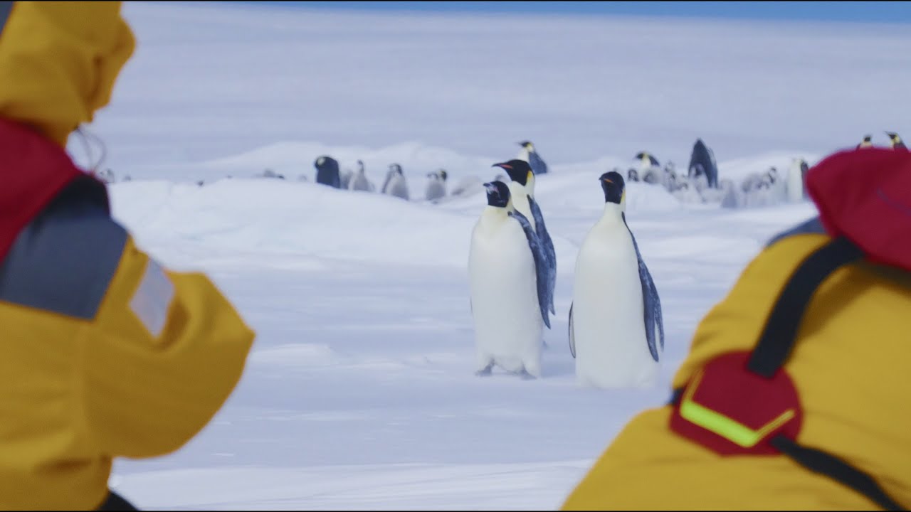 Snow Hill Island, Antarctica: The Impossible Journey