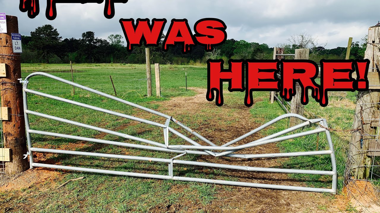 Tex’s Prison Break! #LonghornLester’s