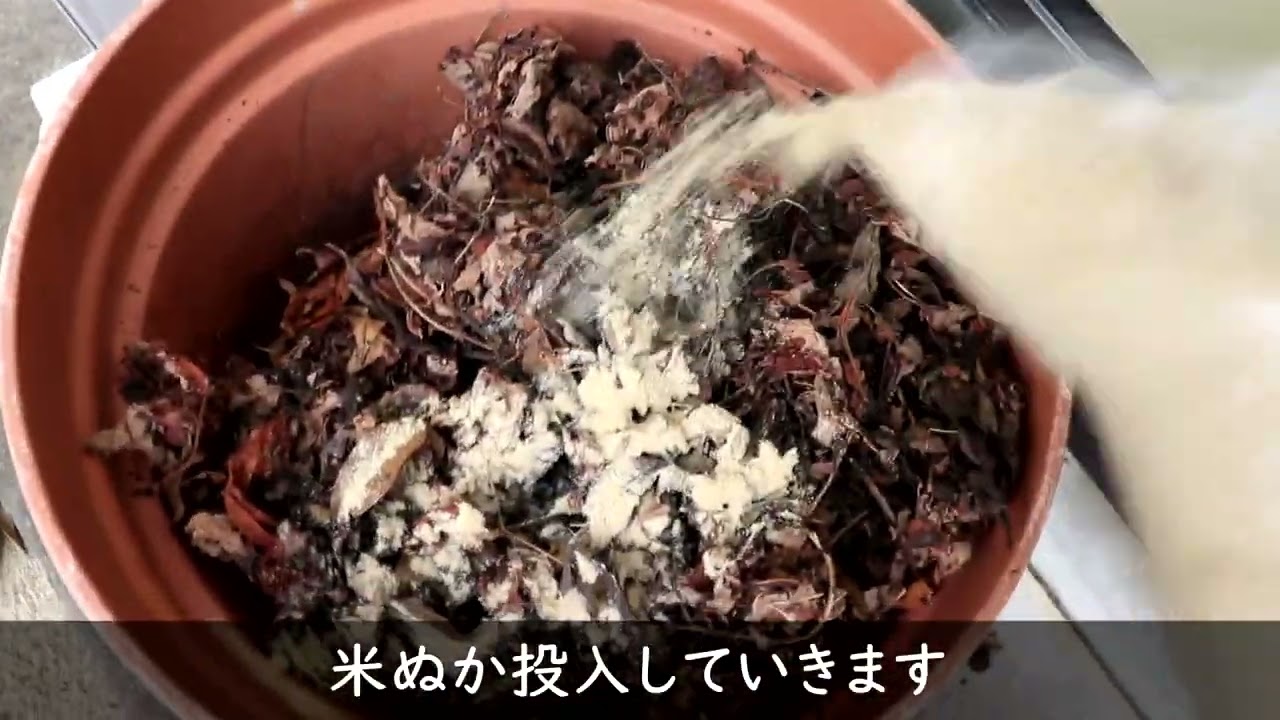 落ち葉に米ぬかを投入してみた（肥料・ミミズコンポスト）
