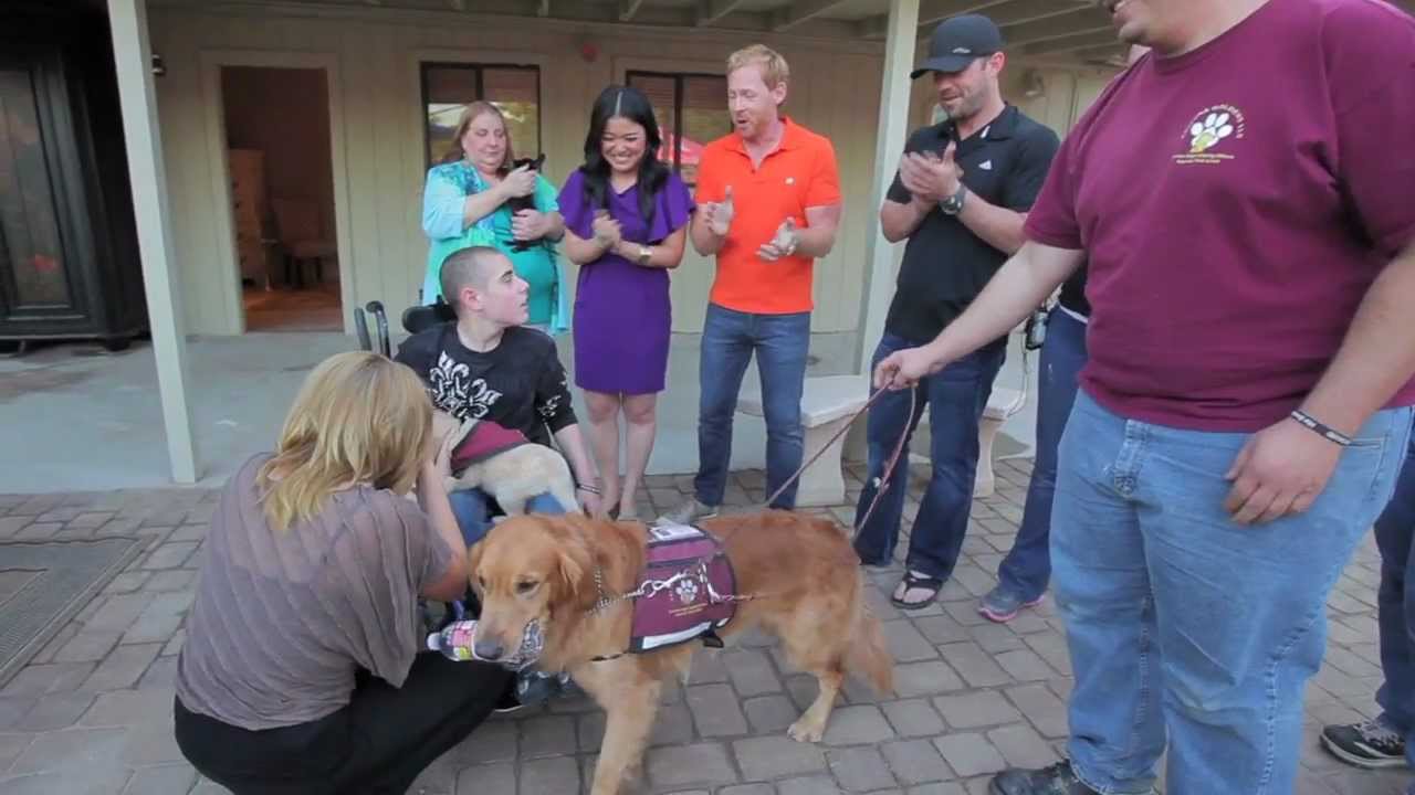 The Inspiring & Emotional Reveal - Homergency