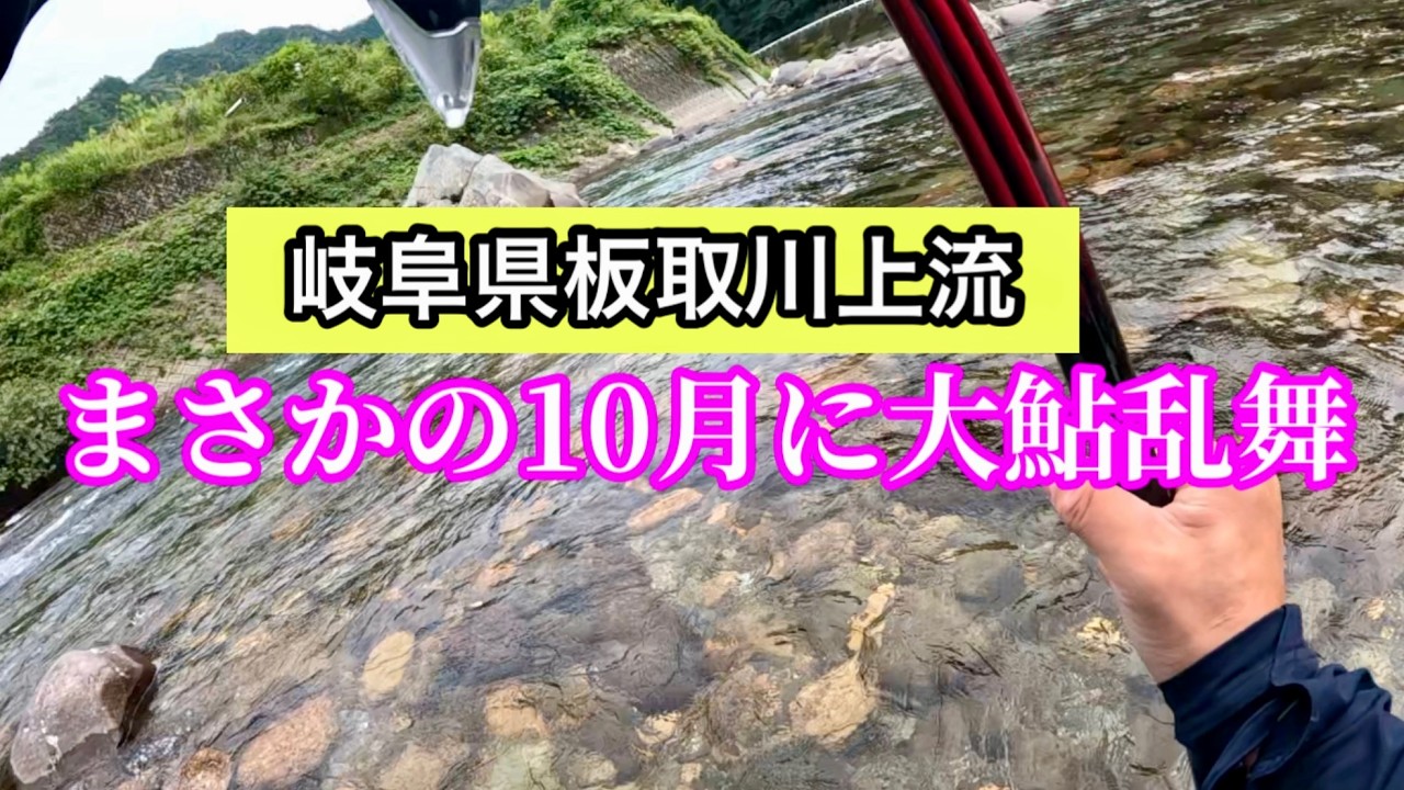 10月の板取川上流は夢の楽園だった…