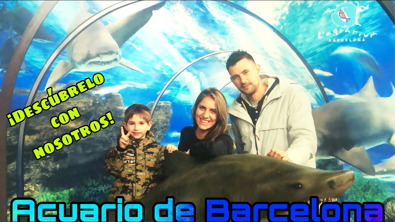 Acuario marino 🐠| Visitamos el acuario de Barcelona en familia 👪ANDEVLOGS