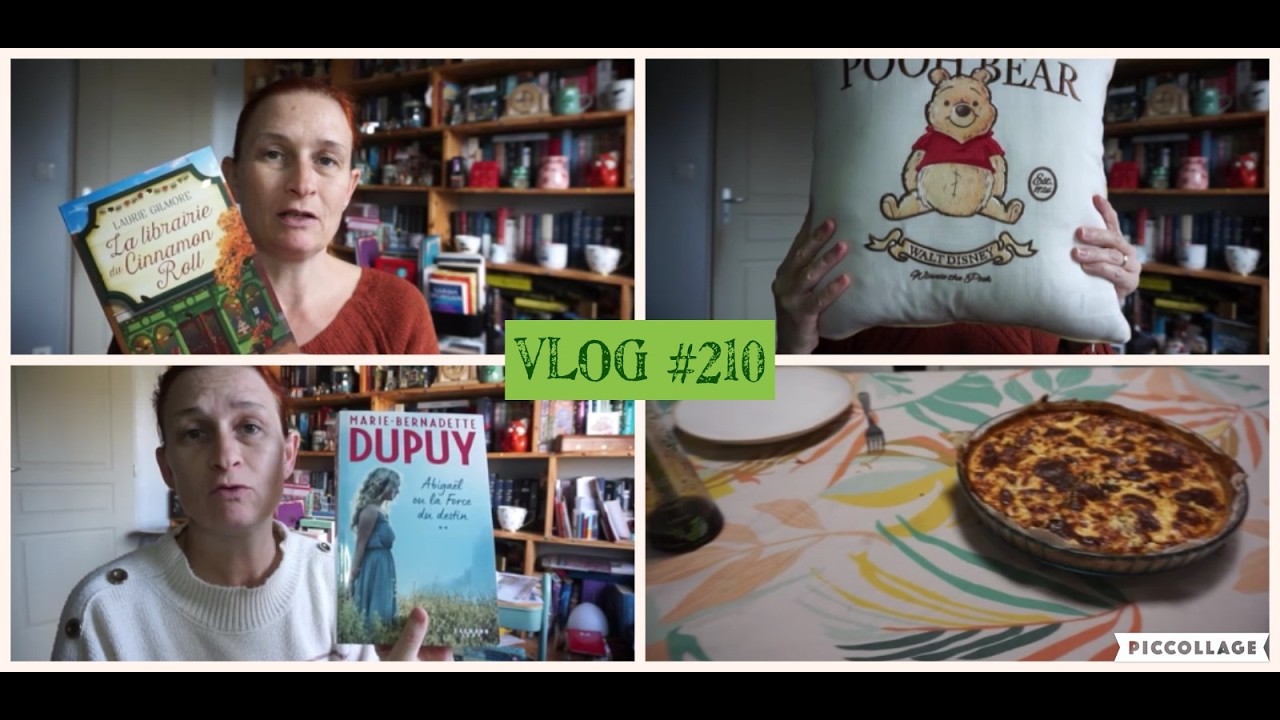 Vlog #210 Mes sagas commencées en 2025