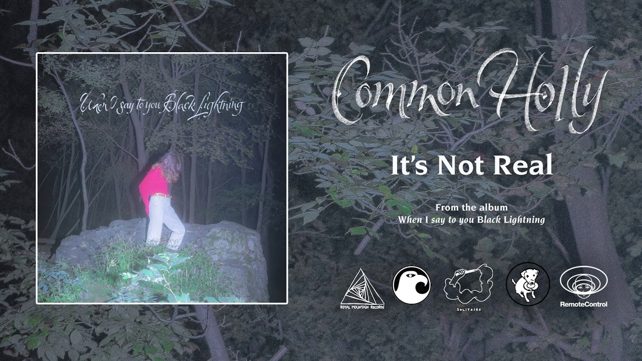 Common Holly - It's Not Real