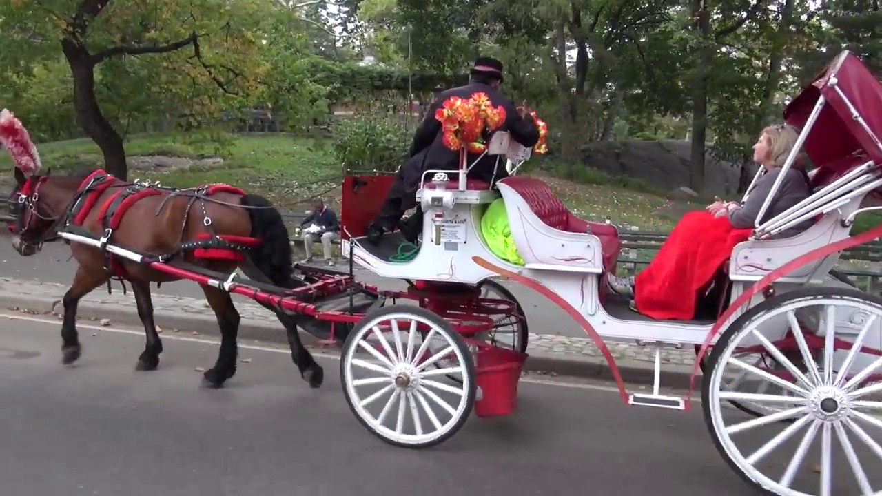 New York City  Central Park Bike Tour