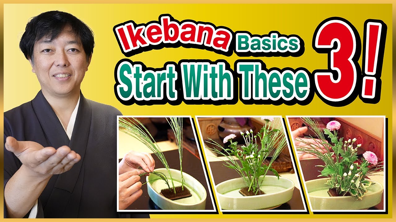 Ikebana Tips | Top 3 Tips for Ikebana | Permanent Edition