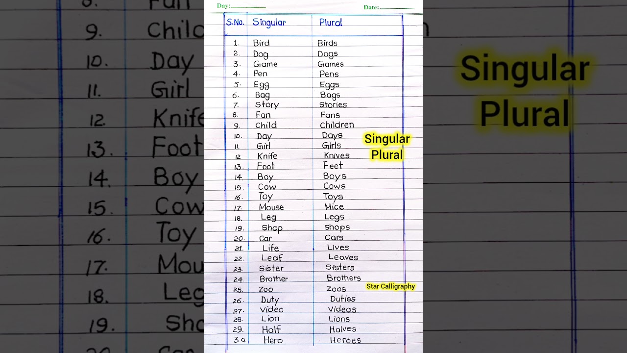 30 Singular and Plural Nouns | Important singular and plural nouns in english | cow,car,zoo etc.