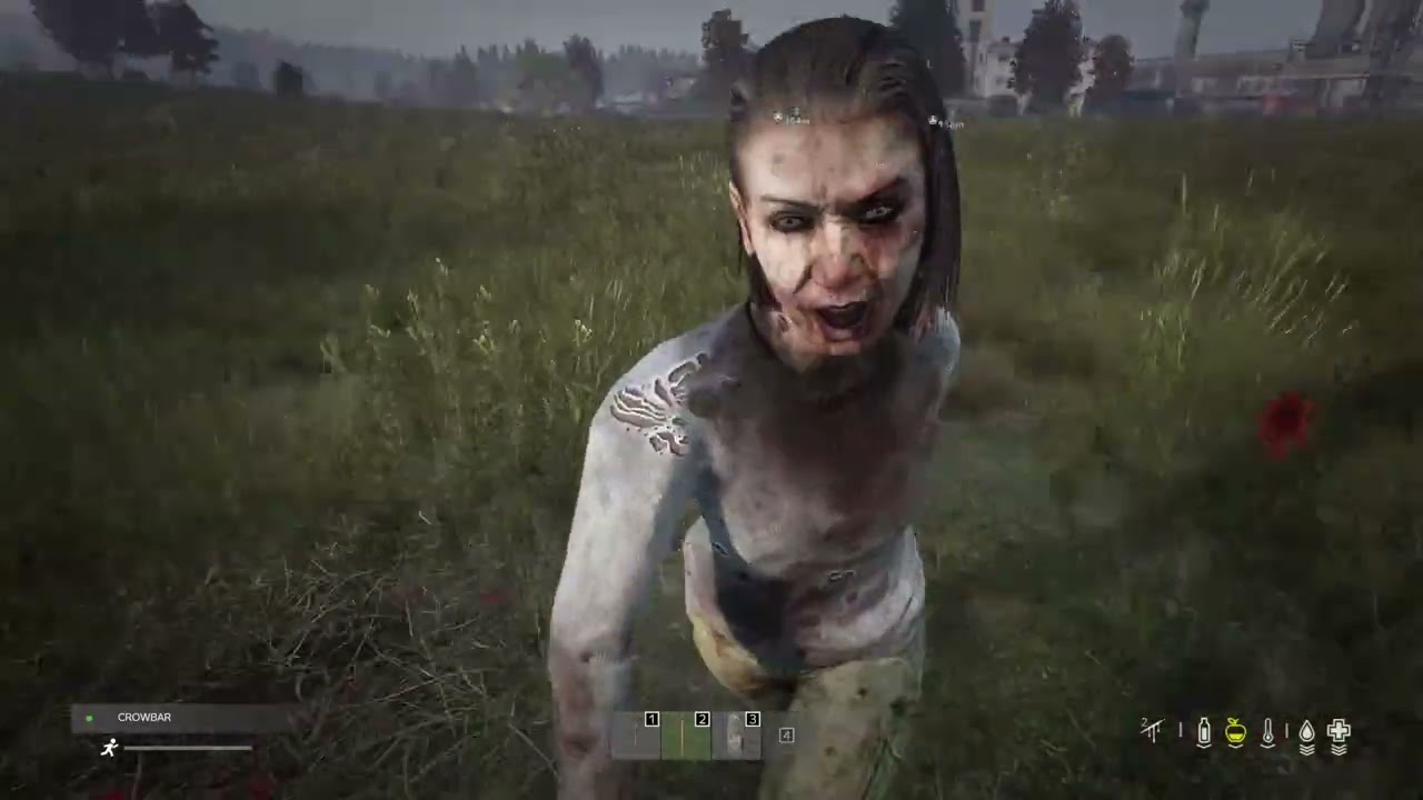 Copy of DayZ - Two ballsacks withouth the One