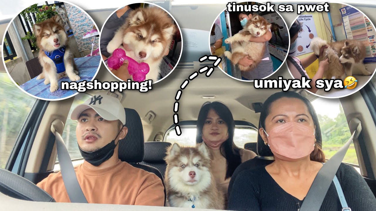 Blossom Goes To The Vet | UMIYAK SYA! | Sai Datinguinoo