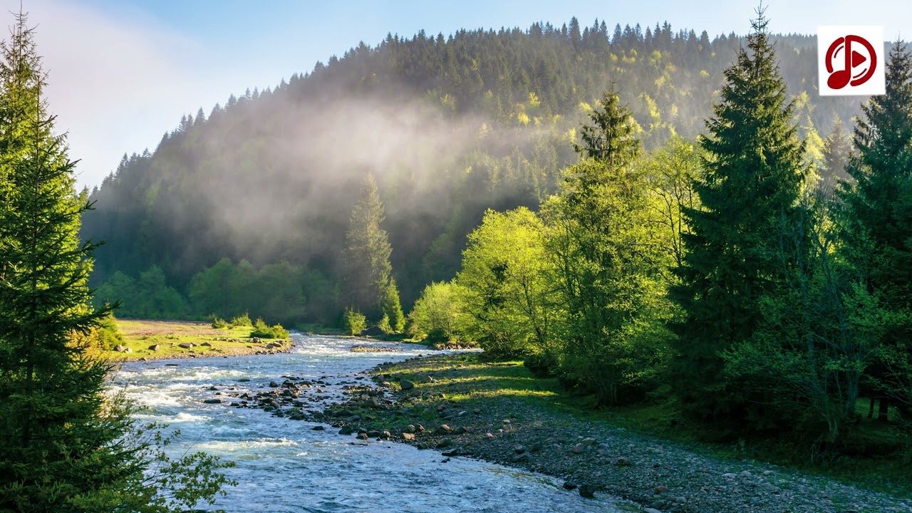 Relaxing Music, Peace and purity of mind #relaxing #jesus #video #ai #music #viral #relaxingmusic