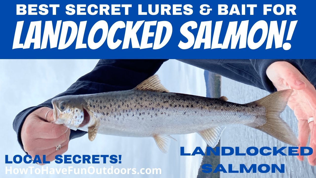 Best Landlocked Salmon & Trout Lures | Top Baits That Actually Catch Fish