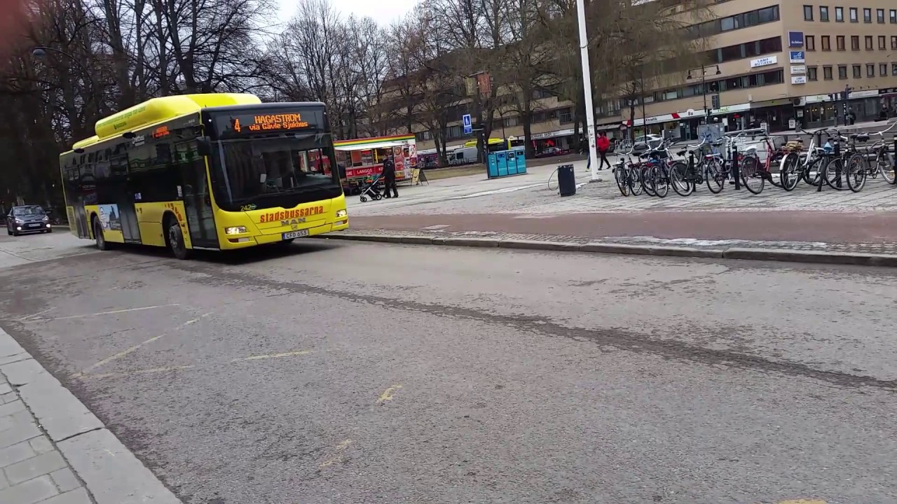 Nettbuss 242