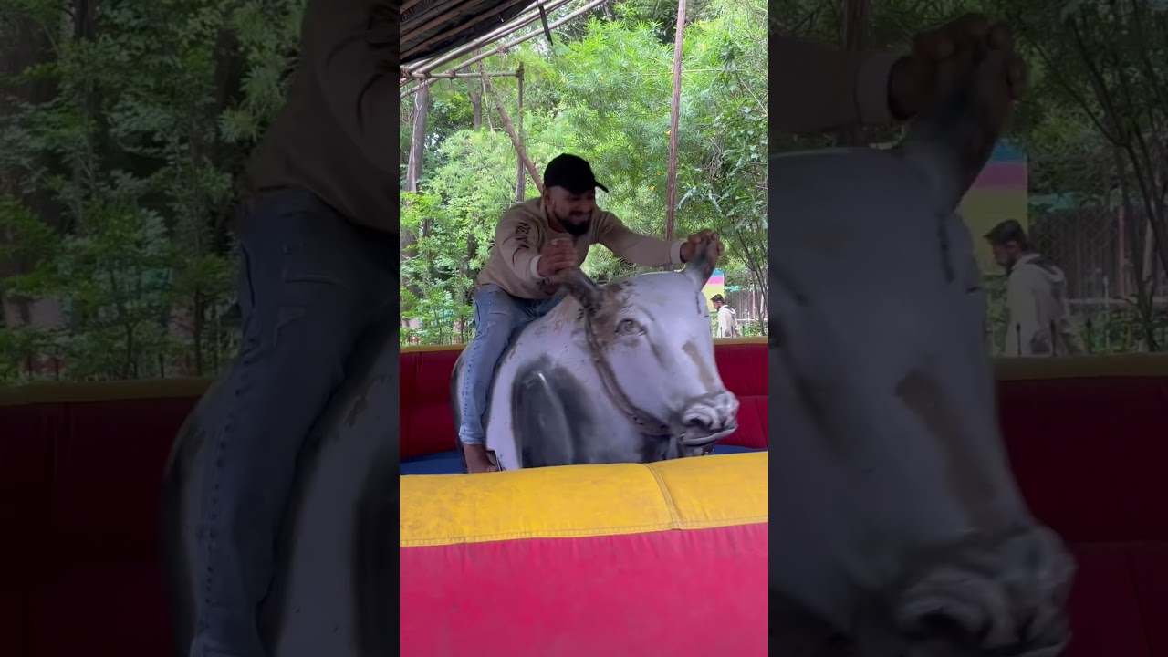 Bull fight 
