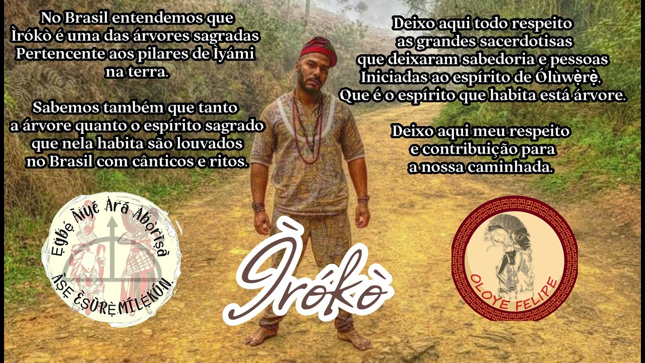 Ìrókò Iroko cantiga, Olóye Felipe