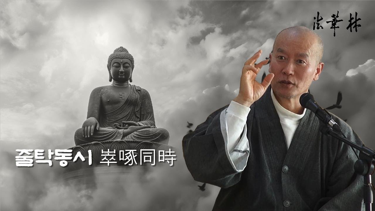 차담_줄탁동시崒啄同時