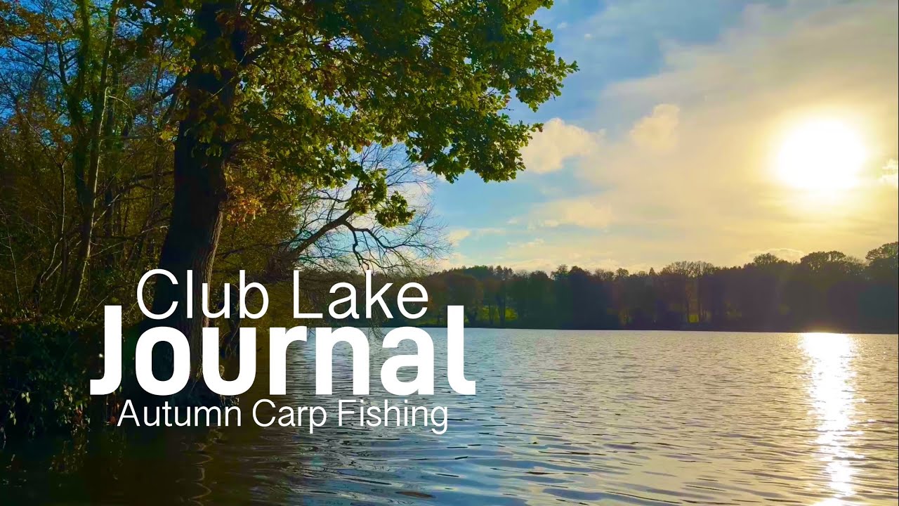 43. Club Lake Carp Fishing | Got A Challenge On My Hands | Autumn Angling